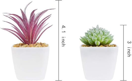 Tiita Artificial Faux Succulents in Pots Fake Plants Plastic Arrangement Planter Small Mini Tiny Decoration for Home Office Desk Window Sill Bathroom Bedroom Outdoor Indoor 12 Set
