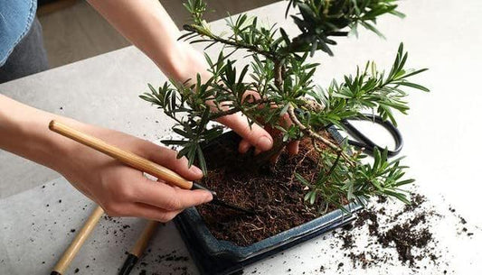 Gardenera Professional Potting Mix for Bonsai Trees - Nutrient-Rich Blend for Vibrant Bonsai Trees - 4 Quart