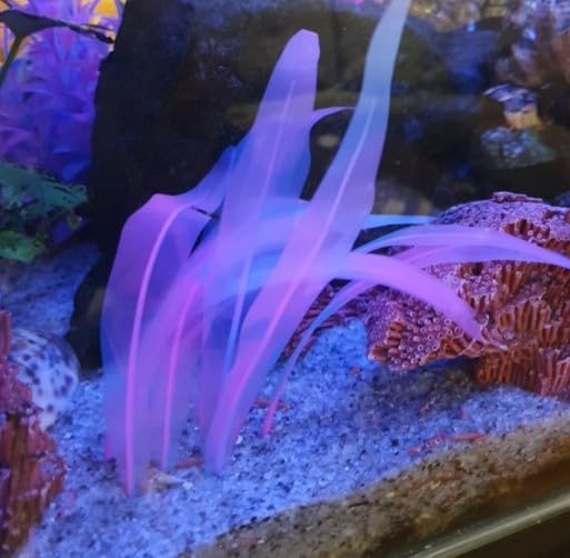 3Pcs Soft Silicone Aquarium Plants Set Glowing Kelp Fish Tank Plants Decor Artificial Pink Aquarium Plant Simulation Artificial Water Grass for Fish Tank,7.08in9.84in16.9in