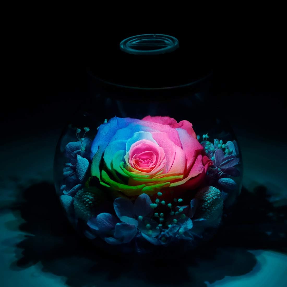 Preserved Real Roses with Colorful Mood Light Wishing Bottle,Eternal Rose,Never Withered Flowers,for Bedroom Party Table Decor, Christmas Anniversary,Valentine's,Mother's Day, (Multi)