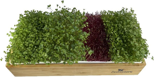 Microgreens Refill for Zestigreens Microgreens Growing Kit. Broccoli, Mixed Salad, Chia & Red Amaranth Organic Microgreen Seeds & 4 mats.