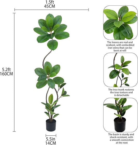 Artificial Rubber Tree Plant, 5.3ft Tall Black with Round Planter, All Season Home Decor (Green,5.3ft)