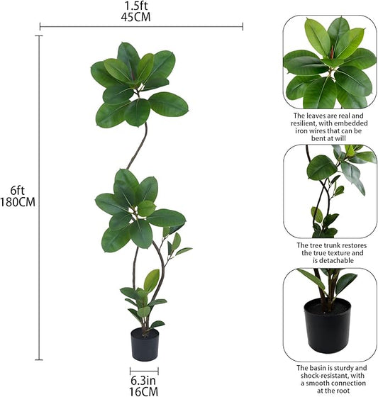 Artificial Rubber Tree Plant, 6ft Tall, Black with Round Planter, All Season Home Decor (Green,6ft)