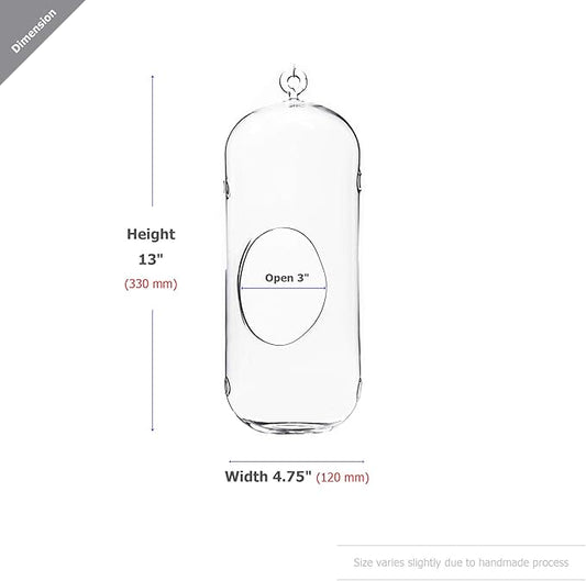 WGV Hanging Glass Plant Terrarium, Width 5", Height 13", Lantern DIY Air Succulent Planter Clear Tea Light Votive Candle Holder, Wedding Event Office Home Outdoor Decor, 1 Piece