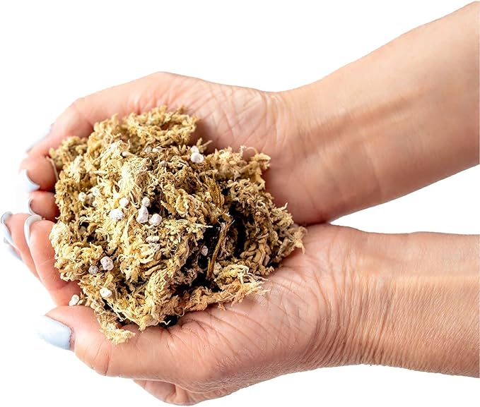 GARDENERA Sphagnum Moss Potting Mix for Carnivorous Plants, Moss and Perlite Blend for Potting Venus Fly Traps, Sarracenia, Pitcher Plants - 75% Sphagnum Moss + 25% Perlite - Made in USA - 4 Quart