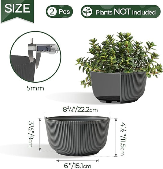T4U 8 Inch Plant Pots, 2 Pack Self Watering Planter with Drainage Hole, Shallow Plant Pot Indoor, Home Decor Flower Pots for Plants, Cactus, Garden, Gray