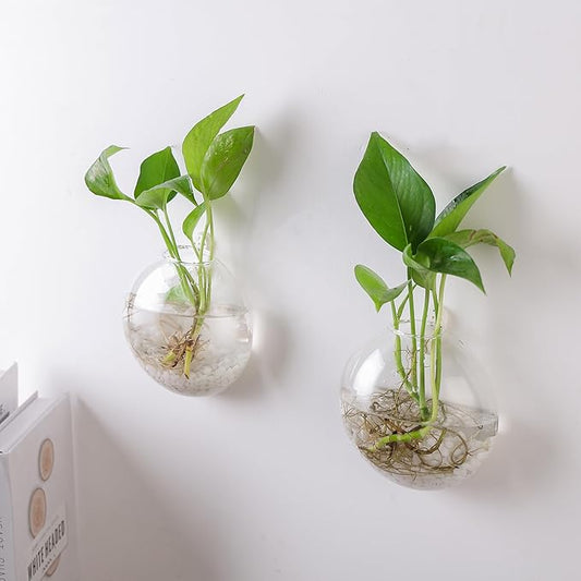 Wall Propagation Planters 6 Pack Glass Wall Planters for Indoor Plants, Wall Plant Holder Plant Propagation Wall Hanging, Glass Flower Vase Indoor Hydroponic Decor