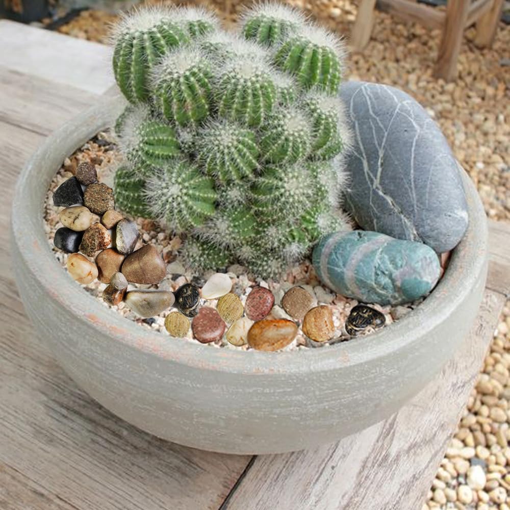 HappyFiller Natural Pebbles Polished Rocks Stones Mixed Color for Aquarium Gravel,Fish Turtle Tank,Outdoor Indoor Plants Top Dressing,Garden Landscaping,Home Vase Filler Decoration,18 LB