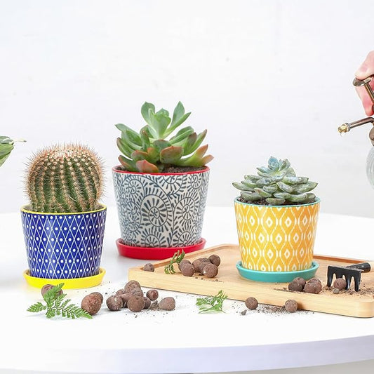 Selamica Ceramic Succulent Pots, 3.4 Inch Small Pots for Plants with Drainage Holes and Saucers, Succulent Planters for Indoor Plants, Cactus, Home Decor, Set of 4, Assorted Colors