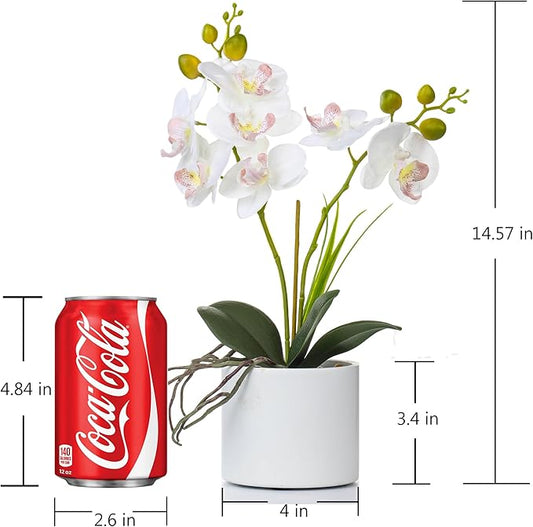 Jusdreen Artificial White Orchid in Ceramic Pot, Realistic Phalaenopsis Arrangement with Potting for Home Office Table Decor, 14.5 Inch Flower Centerpiece