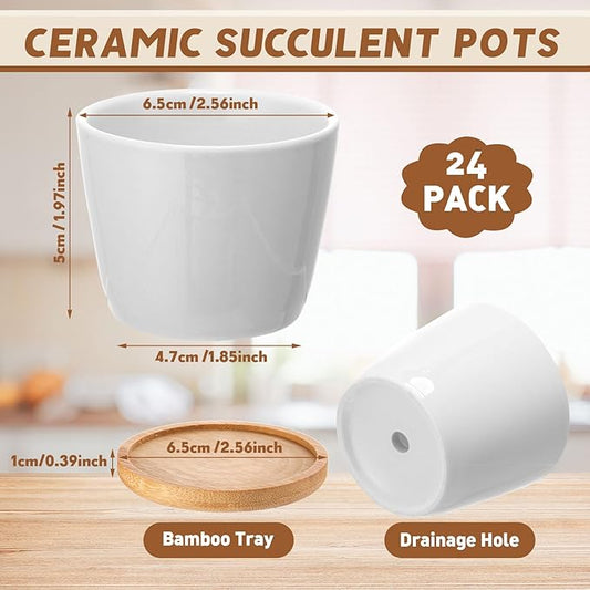 Hsei 24 Pack 2.5 Inch Mini Succulent Plant Pots Small Ceramic Flower Pot with Bamboo Tray Garden Cactus Herb Container, Home Office Decoration for Christmas Birthday Wedding Favor Gifts (White)