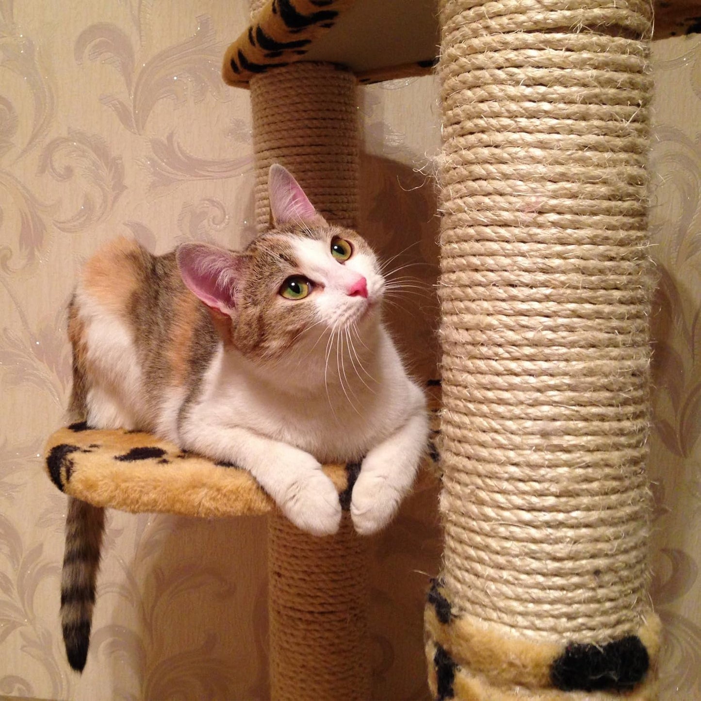 Vanhench Jute Rope 5MM (1/5 inch) 100 ft 6Ply Twisted Heavy Duty and Thick Twine Rope Bulk for Crafts Projects Cat Scratcher Post Tree Gift Wrapping Arts & Crafts Home Decoration Packing Christmas