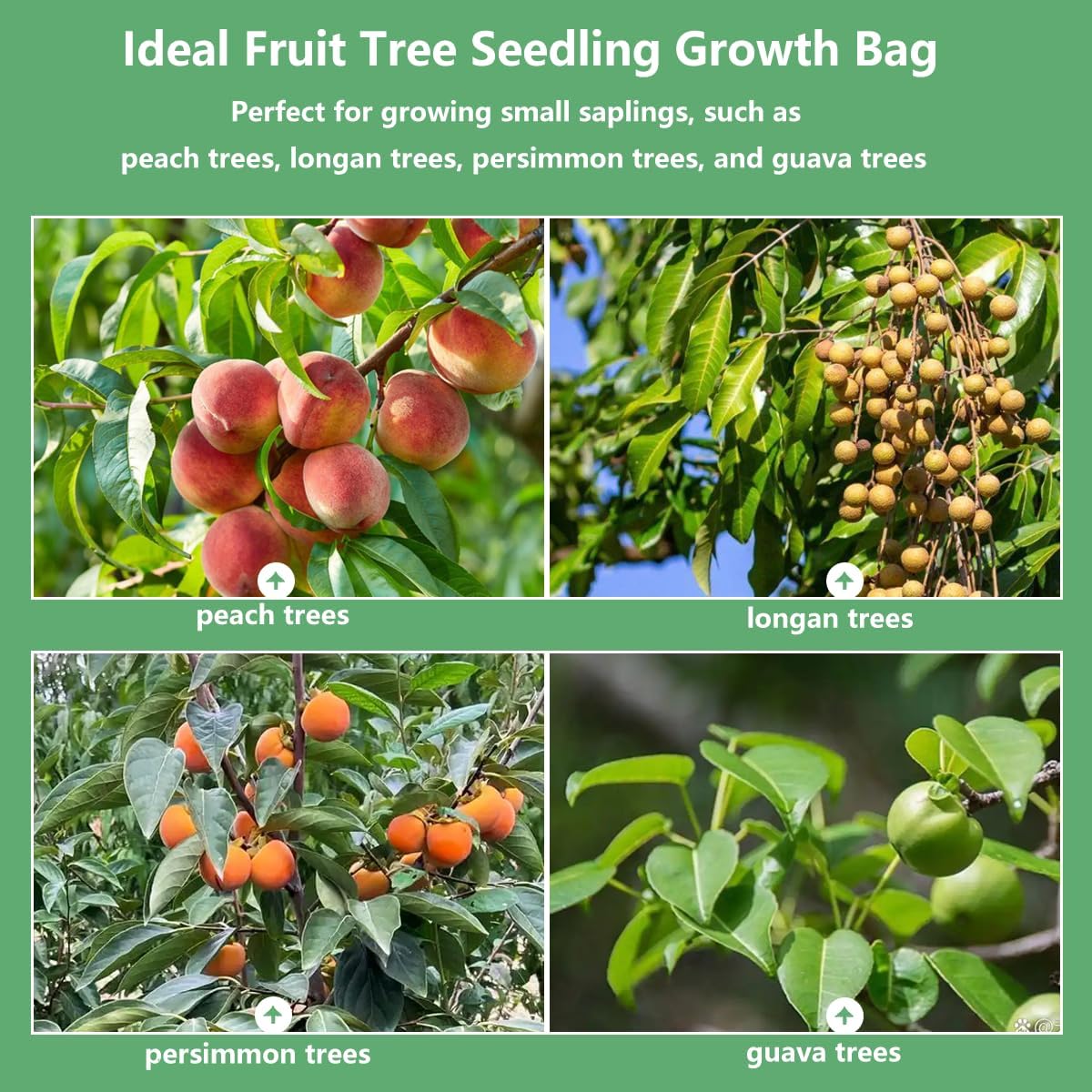 Belit 100 Pcs Plant Nursery Bags, Plastic Seedling Pots Container for Fruit Tree, Flower, Starting saplings, Plant Grow(3.5"x7.6")