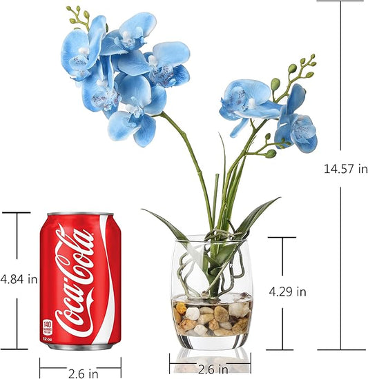 Jusdreen Artificial Blue Orchid in Glass Vase, Realistic Phalaenopsis Arrangement with Potting for Home Office Table Decor, 14.5 Inch Flower Centerpiece