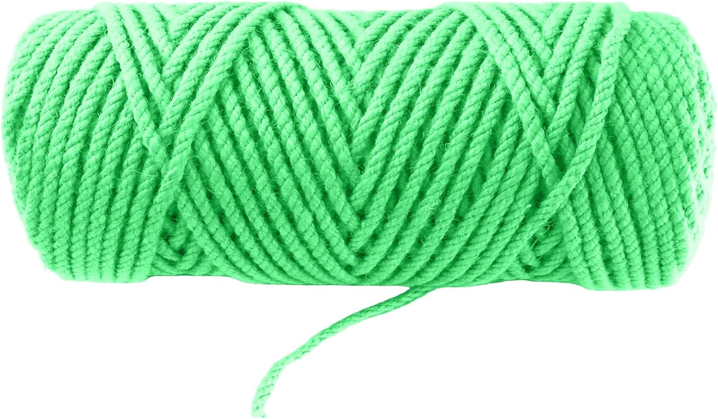 4mm x 100 Feet Light Green Jute Rope, Twine for Gardening Tomato Climbing Plant Tie Floristry Crafts Gift Wrapping Packing Decor