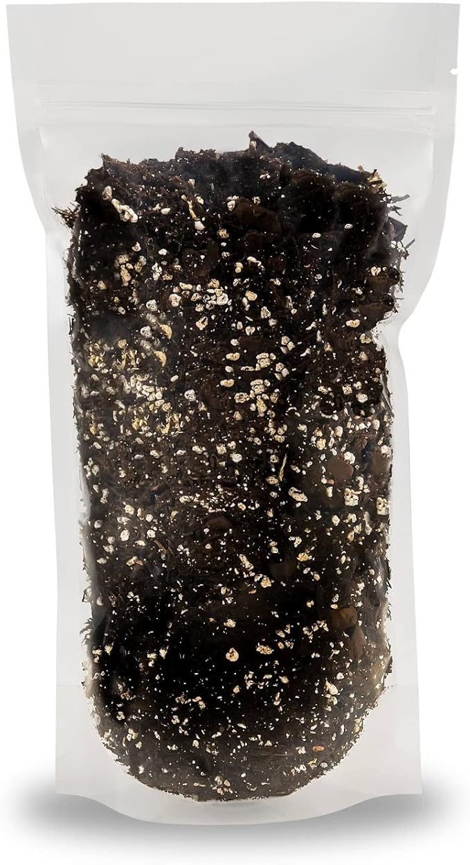 Gardenera Premium Alocasia Plant Potting Mix - Crafted for Thriving Growth and Striking Elegance - 1 Quart, MAIN-ALOCASIA-1QT