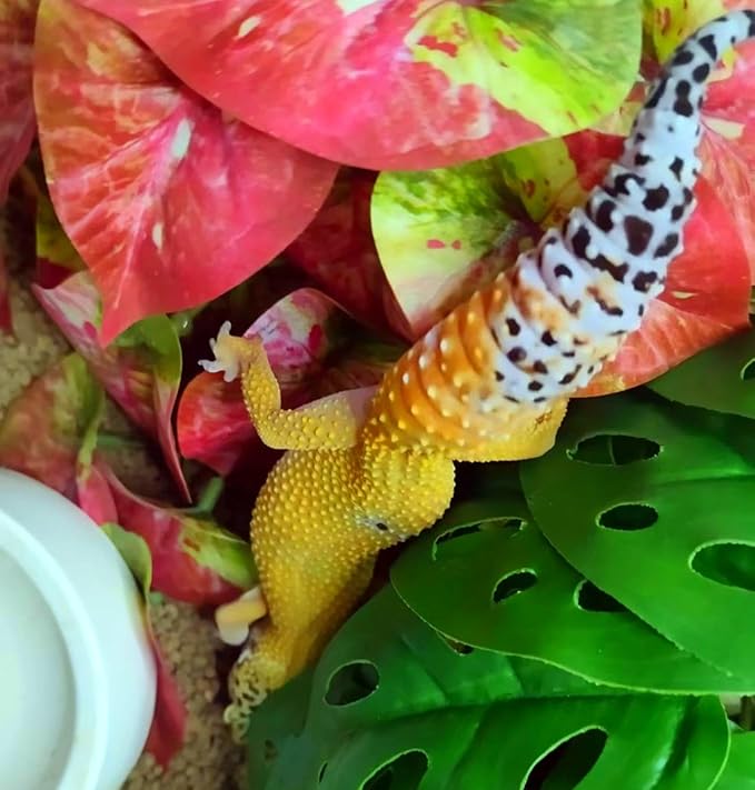 2 Pack Reptile Plants for Terrarium Decor, Amphibian Habitat Decor, Reptile Tank Accessories, Artificial Hanging Plants with Suction Cup (Red Arrowhead)