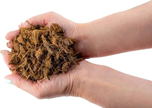 Premium Coconut Husk Chips and Fibers Mix for Orchids - 10 Quart - Houseplant, Monstera and Fiddle Leaf Fig by GARDENERA (2 Bags of 5 Quart)