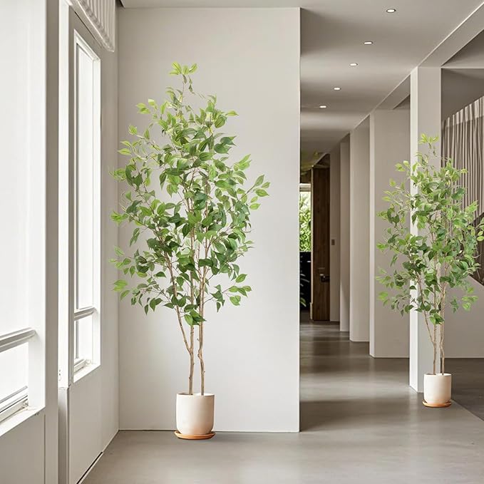 Artificial Fake Ficus Tree 7FT Tall 2Pack with White Planter & Free Moss, Artificial Plants Indoor, Artificial Trees for Home Decor Indoor, Faux Ficus Tree