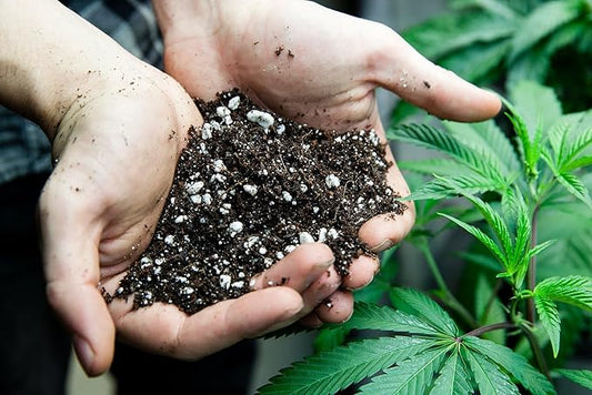 Gardenera Organic Autoflower Plants Potting Soil Mix - Perfect Balance of Nutrients, Drainage, and Aeration for Thriving Autoflower Plants- 5 Quart