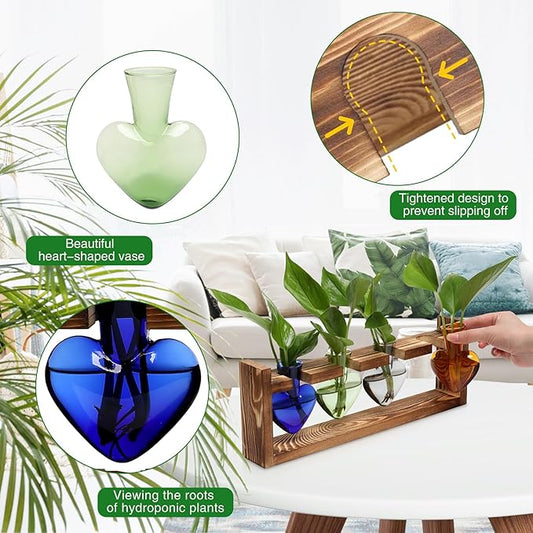 Plant Propagation Stations Heart Plant Terrarium Kit Gift for Women Plant Lover Glass Vases