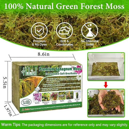 Halatool 1.1LB Green Forest Moss- 25QT Natural Sphagnum Moss for Plants Fluffy Orchid Moss for Orchids Repotting Dried Plant Moss for Potted Plants Indoor & Outdoor