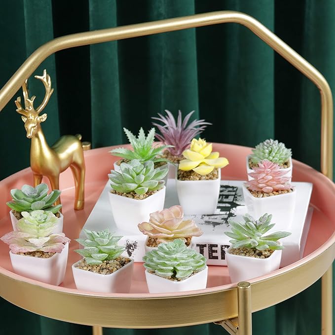 Tiita Artificial Faux Succulents in Pots Fake Plants Plastic Arrangement Planter Small Mini Tiny Decoration for Home Office Desk Window Sill Bathroom Bedroom Outdoor Indoor 12 Set