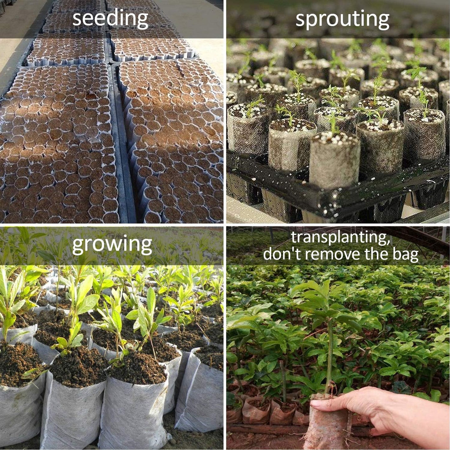 Augshy Nursery Growing Bags - 400pcs Fabric Plant Pots, Non-Woven Grow Bags for Seeding, Starter Seedling Plants, Home Garden, Outdoor, Greenhouse