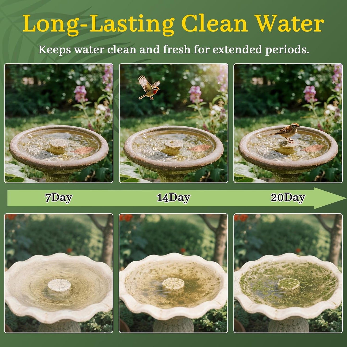 Bird Bath Copper Disk,Bird Bath Purification Disk 0.6mm Reinforced 99.99% Pure Copper Cleaning Disk with 3-Point Support,Fits Outdoor Birdbath & Bowl,Provide Safe Clean Water,Leaf-4Pcs