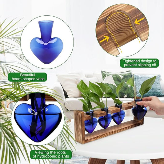 Heart Plant Terrarium Kit Gift for Women Plant Lover Glass Vases