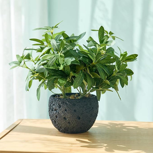 AlphaAcc 9.5" Artificial Plants with Olive Leaves Real Looking Faux Plants Fake Greenery Potted in Black Round Ball Planter for Tabletop Bathroom Kitchen Office Housewarming Gift Home Decor