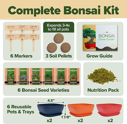 HOME GROWN Bonsai Tree Kit – 6 Heirloom Varieties with Unique Pots – DIY Bonsai Starter Kit for Adults & Beginners – Christmas Gift for Men Women Gardeners Plant Lovers – Indoor Growing Kit