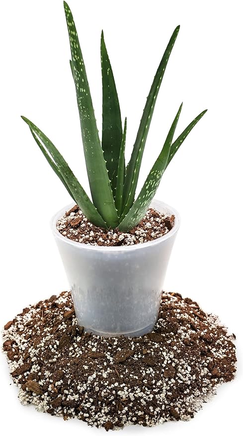 GARDENERA Premium Aloe Vera Potting Soil Mix - (5 Quart Bag)