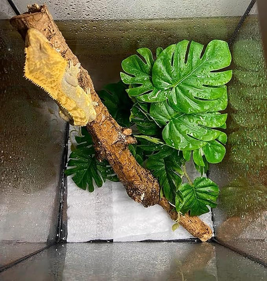 Woyrise Reptile Plants for Terrarium, Artificial Hanging Plants with Suction Cups, Amphibian Tank Habitat Decor Plastic Plant for Bearded Dragons Lizards Snake Geckos Frogs - 2Pack Fake Monstera