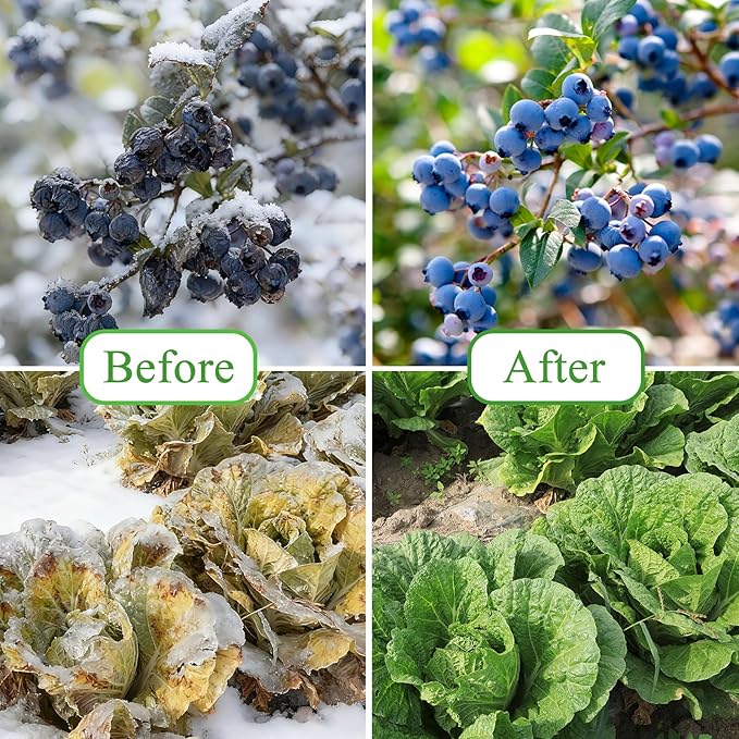 POILKMNI 10'x33' Plant Covers Freeze Protection - Plant Covers for Winter, Frost Cloth Tree Freeze Protection, Frost Blankets for Outdoor Plants, Winter Floating Row Cover