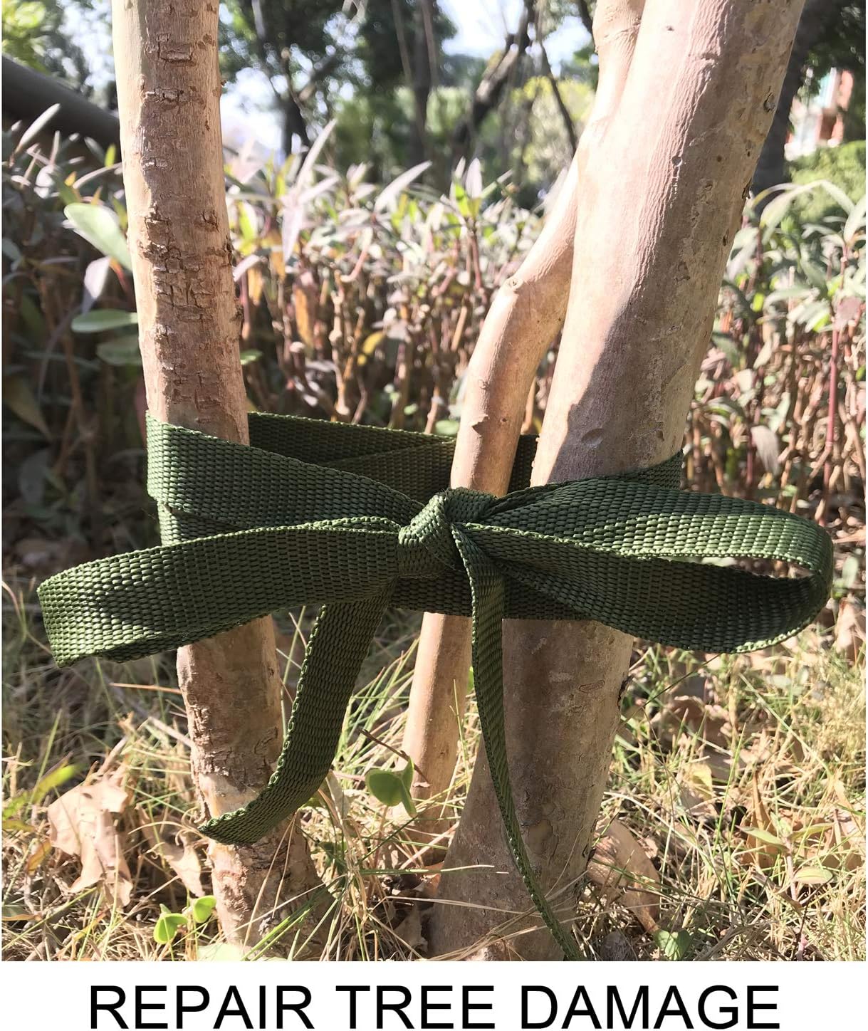 80 Feet Tree Tie Strap 1 Inch Tree Support Ties 1,980Lbs Strength Green Staking and Guying Material Plant Tie Garden Tie Green Tree Tie Rope for Outdoor Use, Straightening Supplies