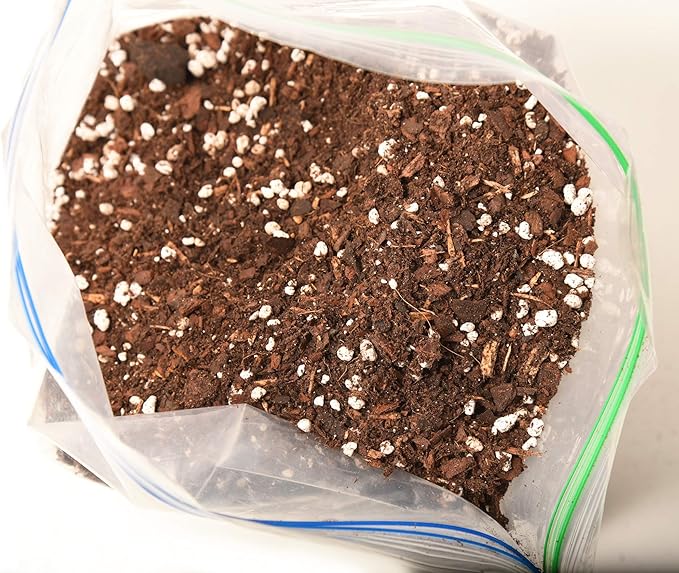 Succulent & Cactus Soil Mix by Perfect Plants (8QTS)