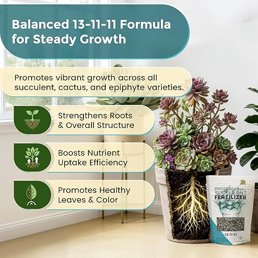 Leaves and Soul Succulent Fertilizer Pellets |13-11-11 Slow Release Pellets for All Cactus and Succulents | Multi-Purpose Blend & Gardening Supplies, No Fillers | 5.2 oz Resealable Packaging