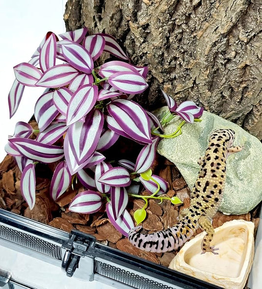 Woyrise Reptile Plants for Terrarium Decor, Ball Python Tank Accessories fit Bearded Dragon Crested Leopard Gecko Lizard Chameleon Snake Frog Tortoise Hermit Crab - Fake Zebrina Purple