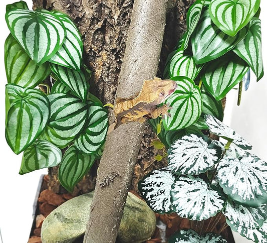 Woyrise Reptile Plants, Terrarium Hanging Plant Vines, Artificial Leaves with Suction Cup, Bearded Dragon Tank Accessories for Gecko Lizard Snake Frog Tortoise Decorations - Calathea Orbifolia