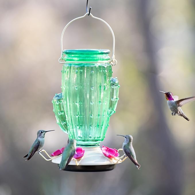 Perky-Pet Cactus Top Fill Glass Hummingbird Feeder with Built-in Bee Guards & Removable Perches - 32 oz Nectar Capacity - Hummingbird Feeder for Outdoors - 9111-1SR