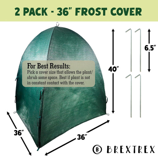 Winter Plant Cover Freeze Protection Tents 2 Pack-Protect Shrubs from Snow, Frost, Animals, Freezing Temperatures - Complete with Soft Garden Ties (36" x 36" x 40", 2 Pack, green with stakes)