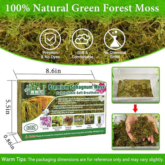 Halatool 6OZ Green Forest Moss Natural Sphagnum Moss for Plants Fluffy Orchid Moss for Orchids Repotting Dried Plant Moss for Potted Plants Indoor & Outdoor
