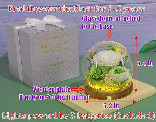 Valley of Rain & Forest Long-Lasting Real Flowers, Unique Floral Gift For you to send Love for All Occasions, for Indoor Decoration (White & Green Roses Arrangement)