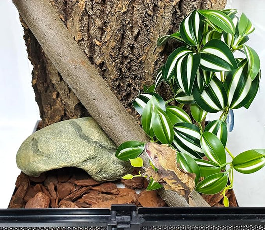 Woyrise Reptile Plants, Terrarium Hanging Plant Vines, Artificial Leaves with Suction Cup, Bearded Dragon Tank Accessories for Gecko Lizard Snake Frog Tortoise Decorations - Zebrina Green