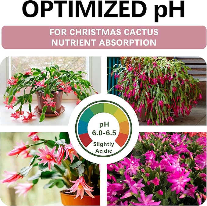 Premium Christmas Cactus Soil – Organic, Nutrient-Rich, Optimal-Draining Potting Mix for Schlumbergera – Promotes Healthy Roots, Balanced Moisture & Vibrant Blooms – Ready to Use (2 QTS)