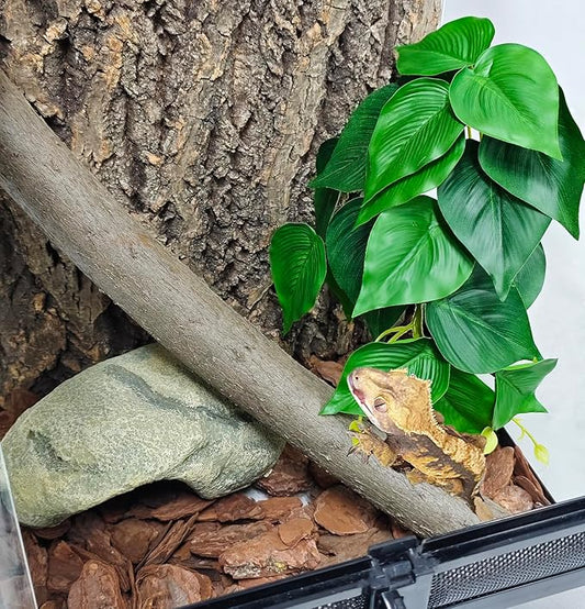 Woyrise Reptile Plants, Terrarium Hanging Plant Vines, Artificial Leaves with Suction Cup, Bearded Dragon Tank Accessories for Gecko Lizard Snake Frog Tortoise Decorations - Epipremnum aureum