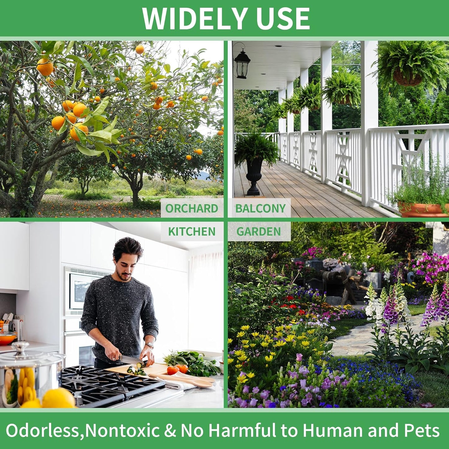 LULUCATCH Fruit Fly Sticky Trap 36 Pack, Safe Gnat Traps for Fruits, Plants, Super Sticky Fly Trap for Indoor, Outdoor, Kitchen, Insect Catcher for White Flies, Mosquitos, Fungus Gnats, Flying Insects