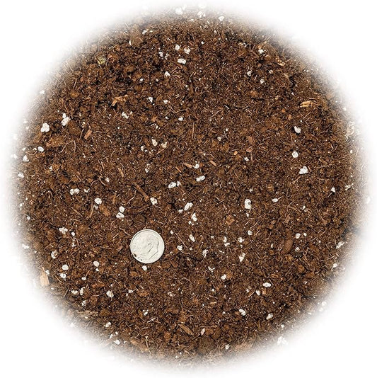 GARDENERA Money Tree Potting Soil Mix for Planting or Repotting Guiana Chestnut, Soil Blended to Properly Grow Money Tree Plants - (1 Quart Bag)