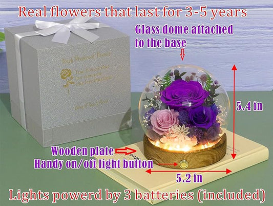 Valley of Rain & Forest Long-Lasting Real Flowers, Unique Floral Gift for You to Send Love for All Occasions, for Indoor Decoration (Dark Purple & Pink Roses Arrangement)